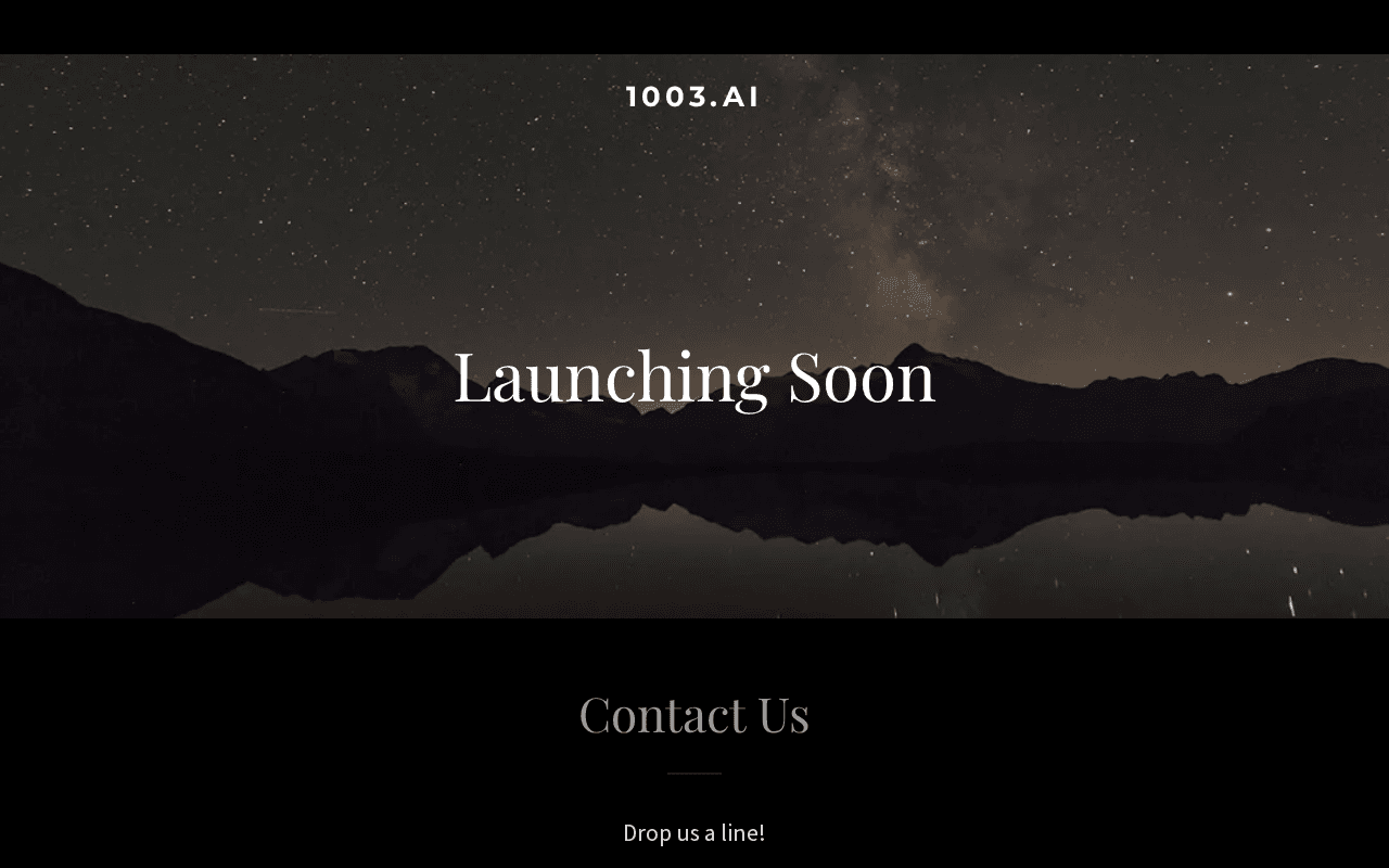 Screenshot of 1003.ai