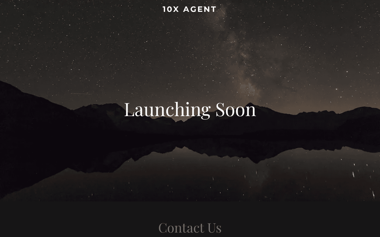Screenshot of 10xagent.ai