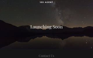 Screenshot of 10xagent.ai