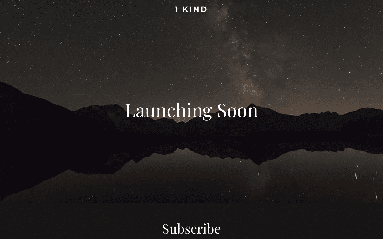 Screenshot of 1kind.ai