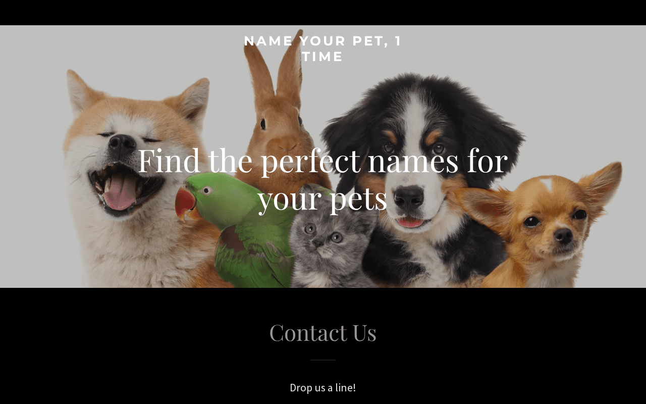 Screenshot of 1petname.ai