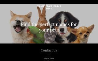 Thumbnail of 1petname.ai