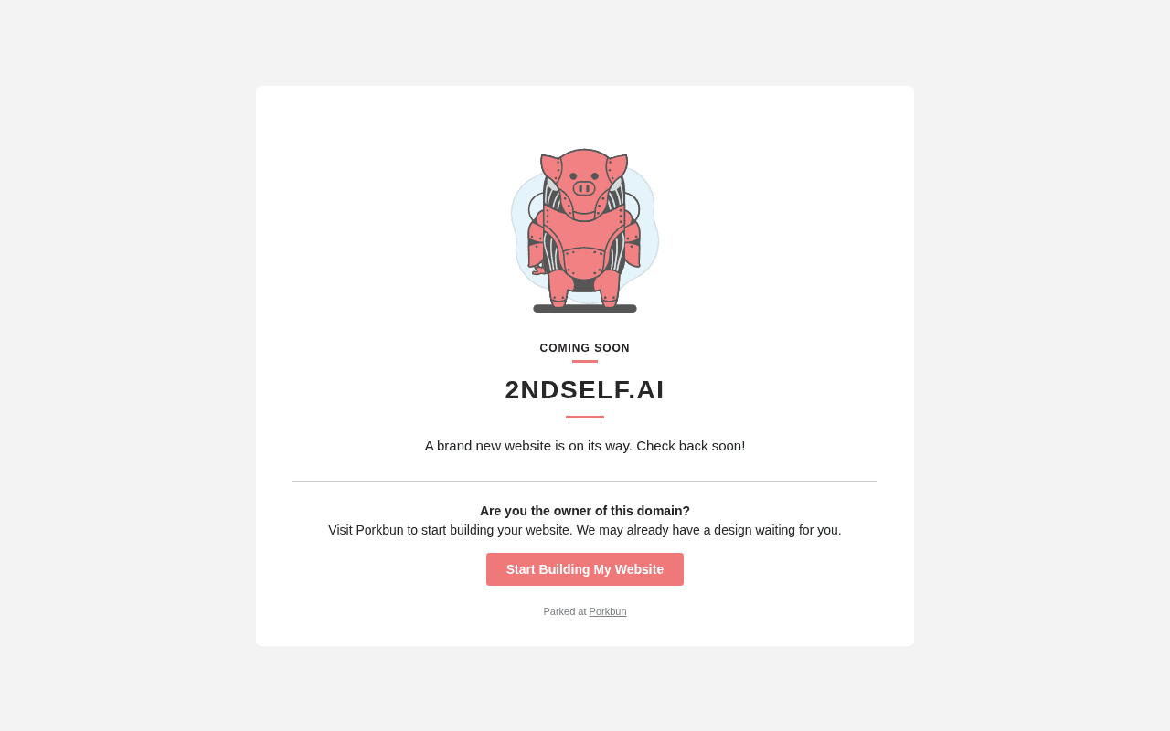 Screenshot of 2ndself.ai