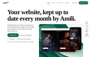 Thumbnail of amili.ai