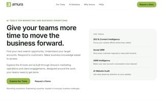 Thumbnail of amuratech.ai
