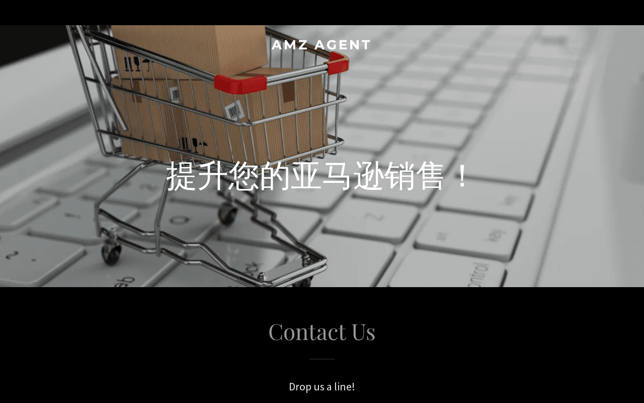 Screenshot of amzagent.ai