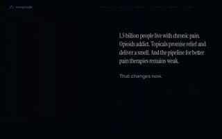 Screenshot of analgesia.ai