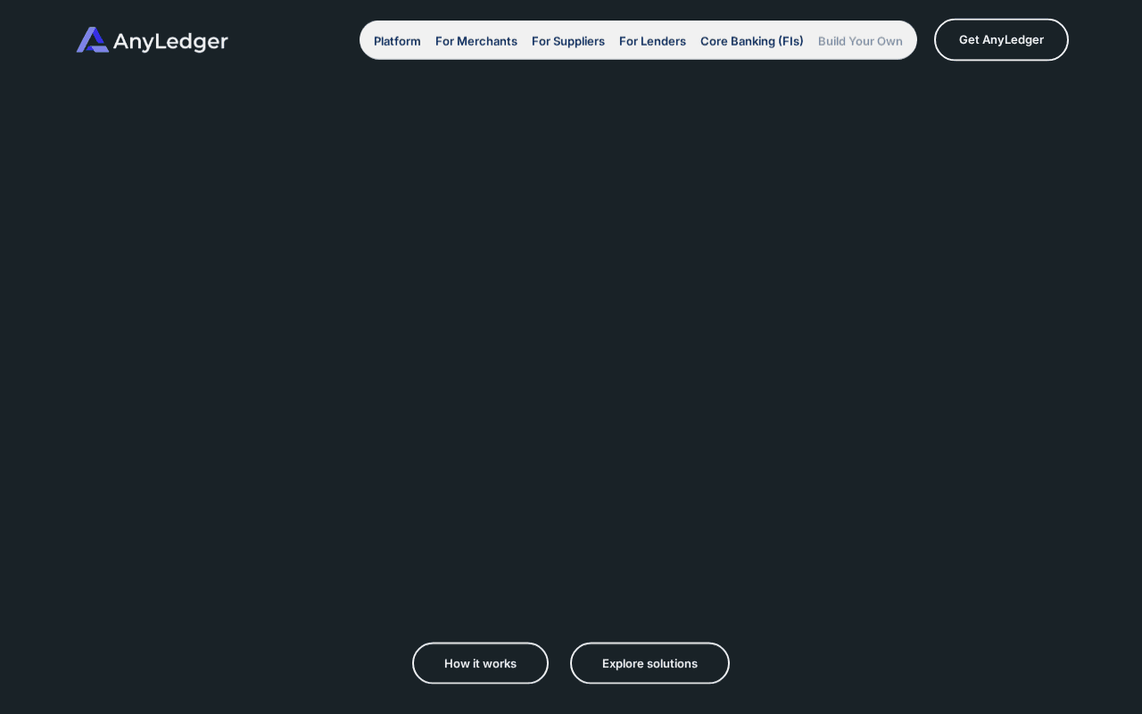 Screenshot of anyledger.ai