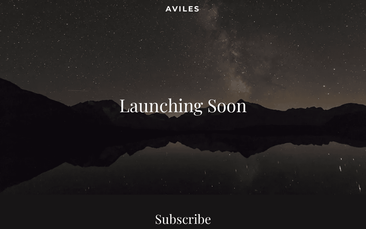 Screenshot of aviles.ai