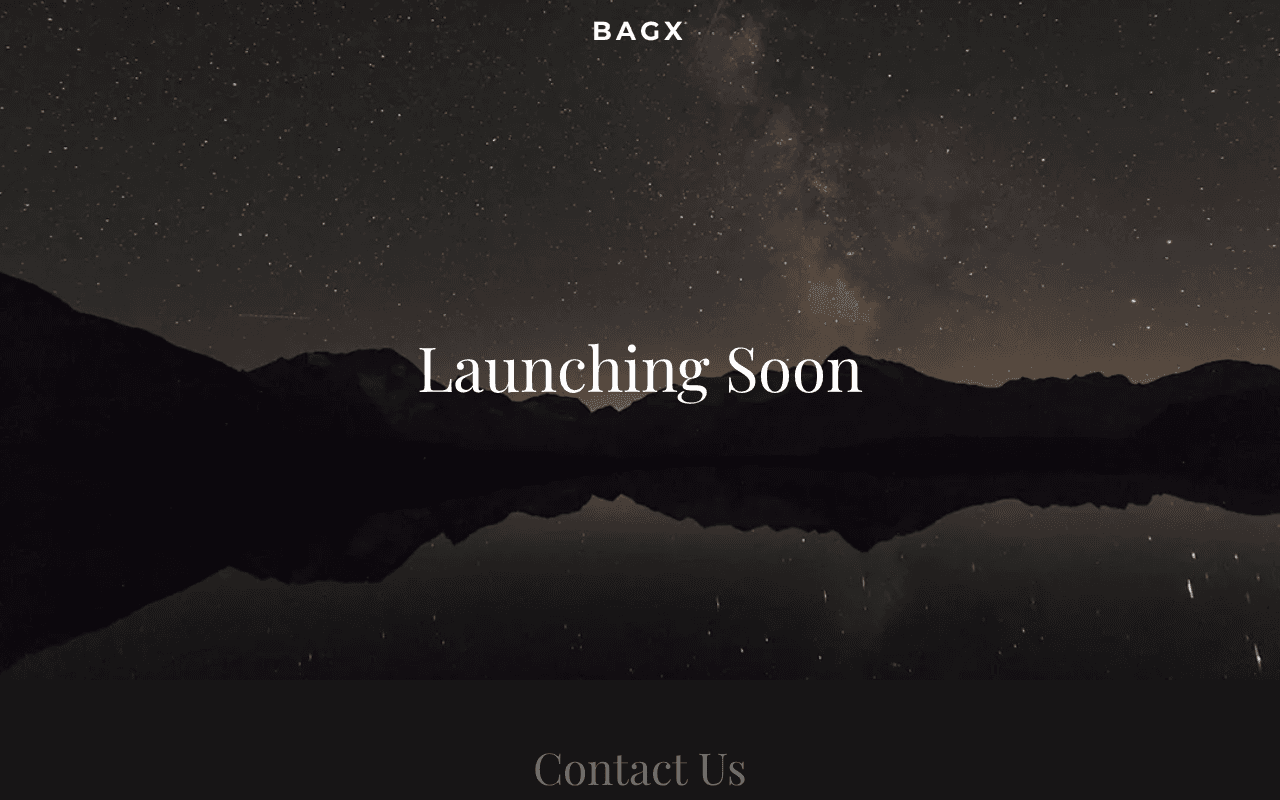 Screenshot of bagx.ai