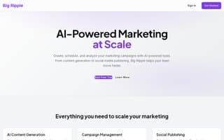 Thumbnail of bigripple.ai