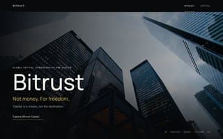 Thumbnail of bitrust.ai