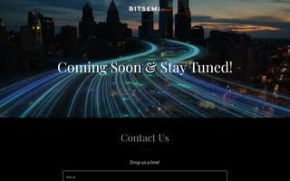 Thumbnail of bitsemi.ai