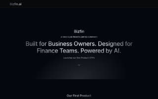 Thumbnail of bizfin.ai