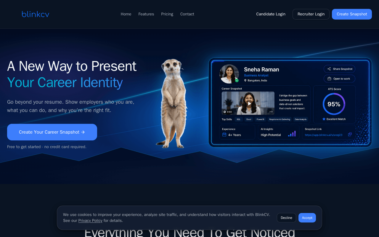 Screenshot of blinkcv.ai