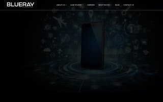 Screenshot of blueray.ai