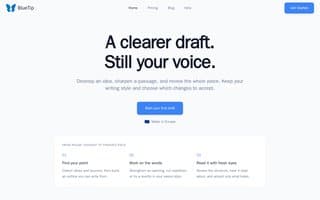Thumbnail of bluetip.ai