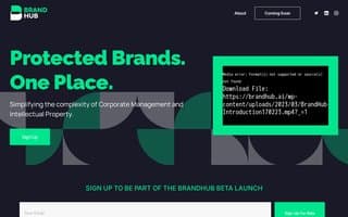 Screenshot of brandhub.ai
