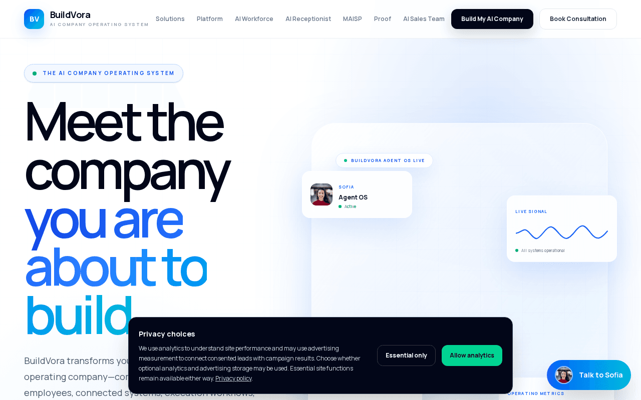 Screenshot of buildvora.ai
