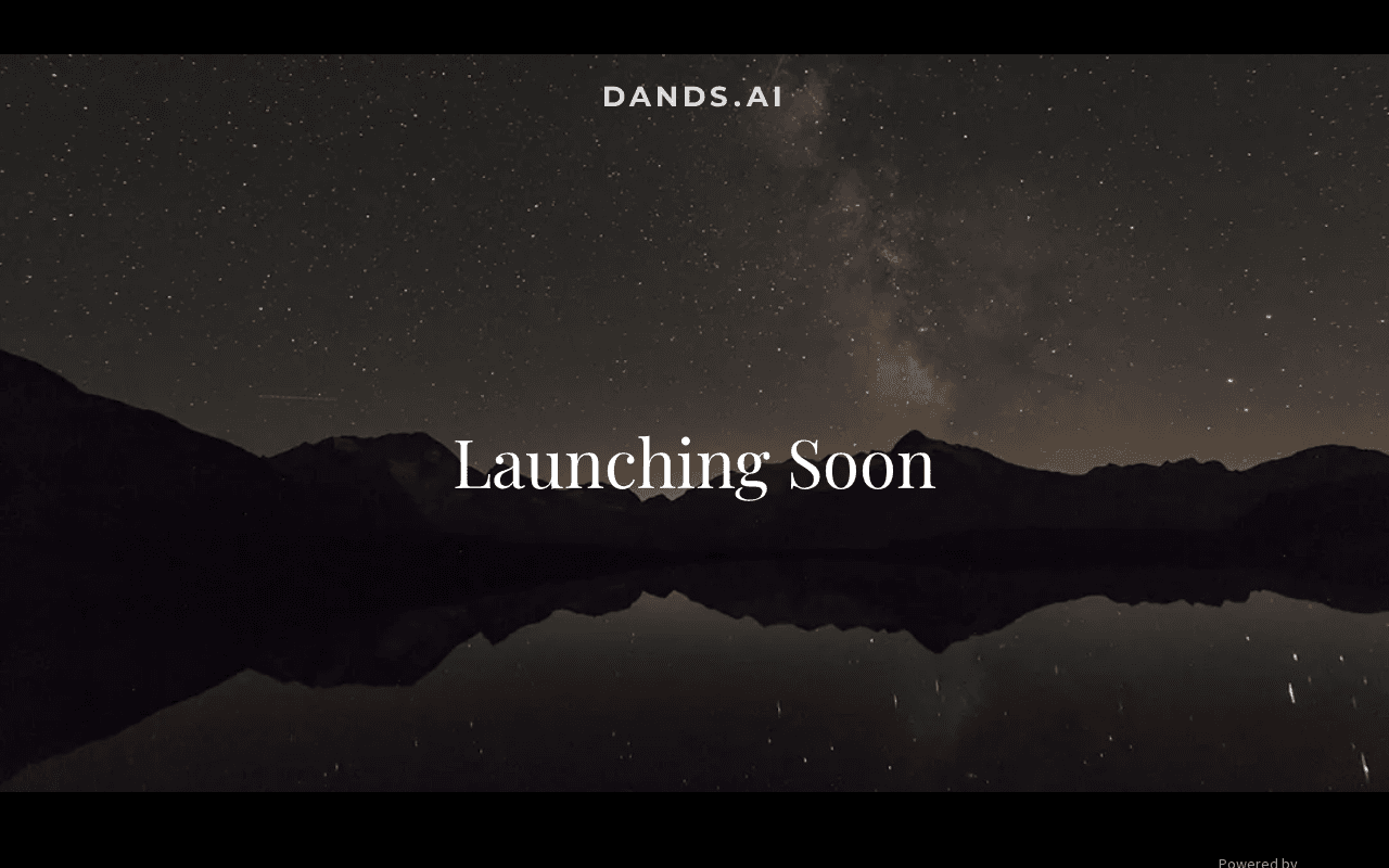 Screenshot of dands.ai