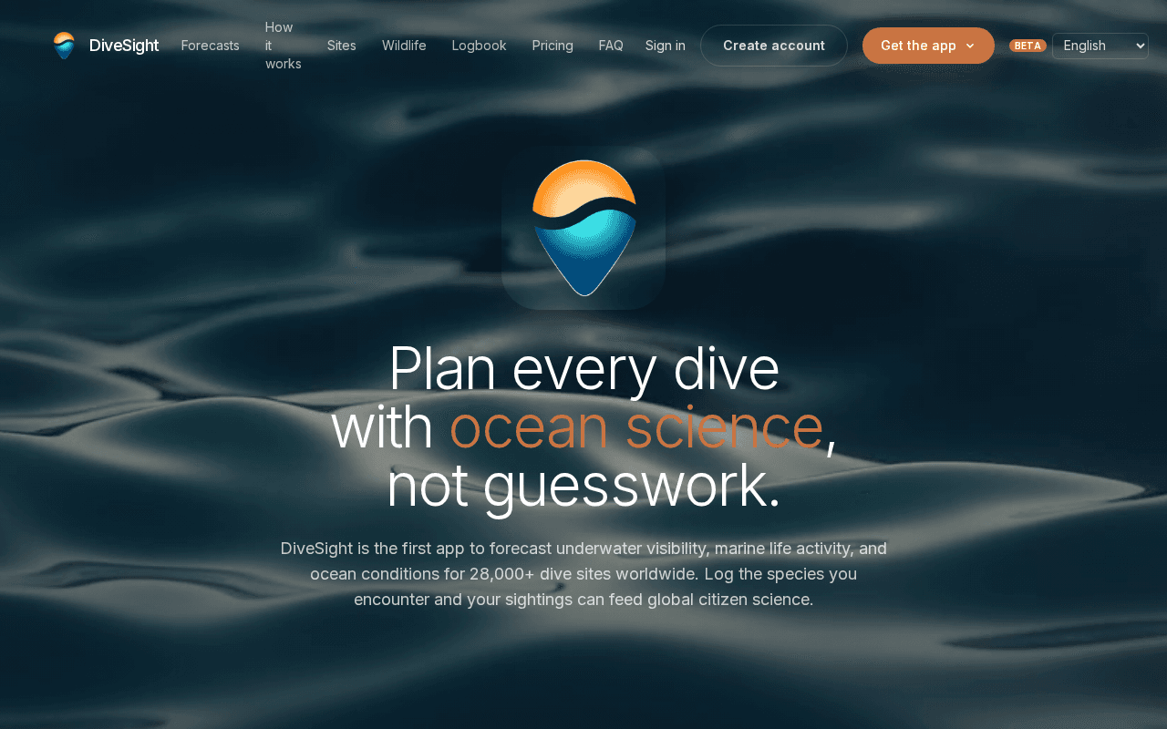 Screenshot of divesight.ai