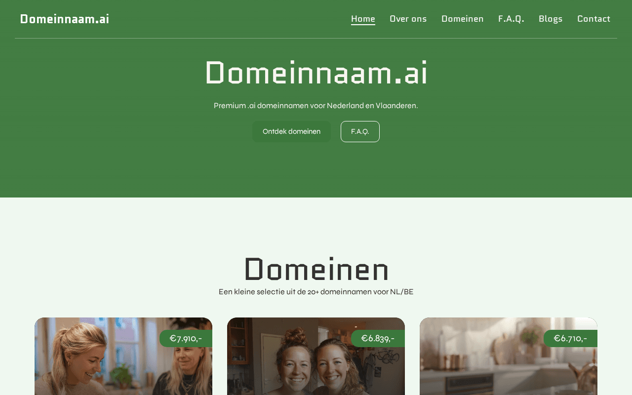 Screenshot of domeinnaam.ai