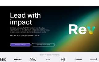 Screenshot of domino.ai
