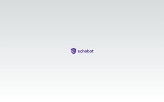 Screenshot of echobot.ai