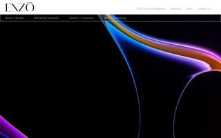 Screenshot of enzogroup.ai