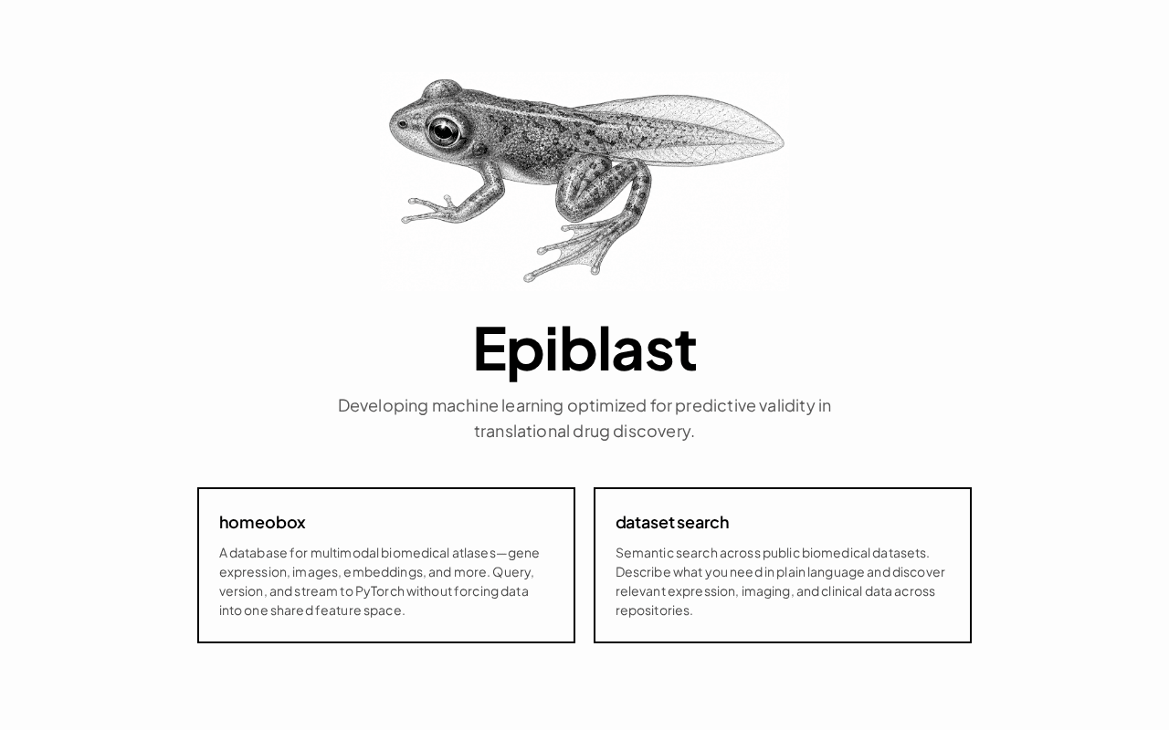 Screenshot of epiblast.ai