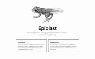 Thumbnail of epiblast.ai
