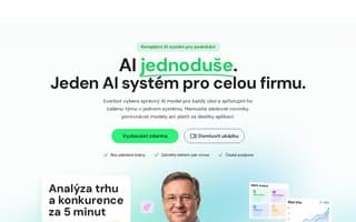 Thumbnail of everbot.ai