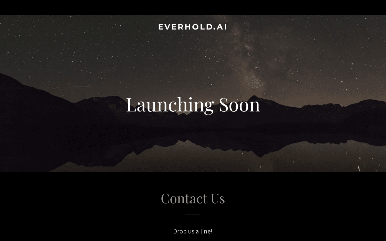 Screenshot of everhold.ai