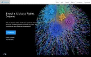 Screenshot of eyewire.ai