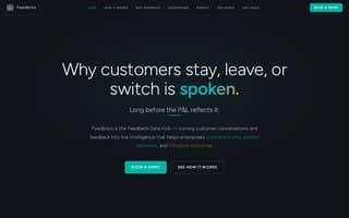 Thumbnail of feedbrics.ai