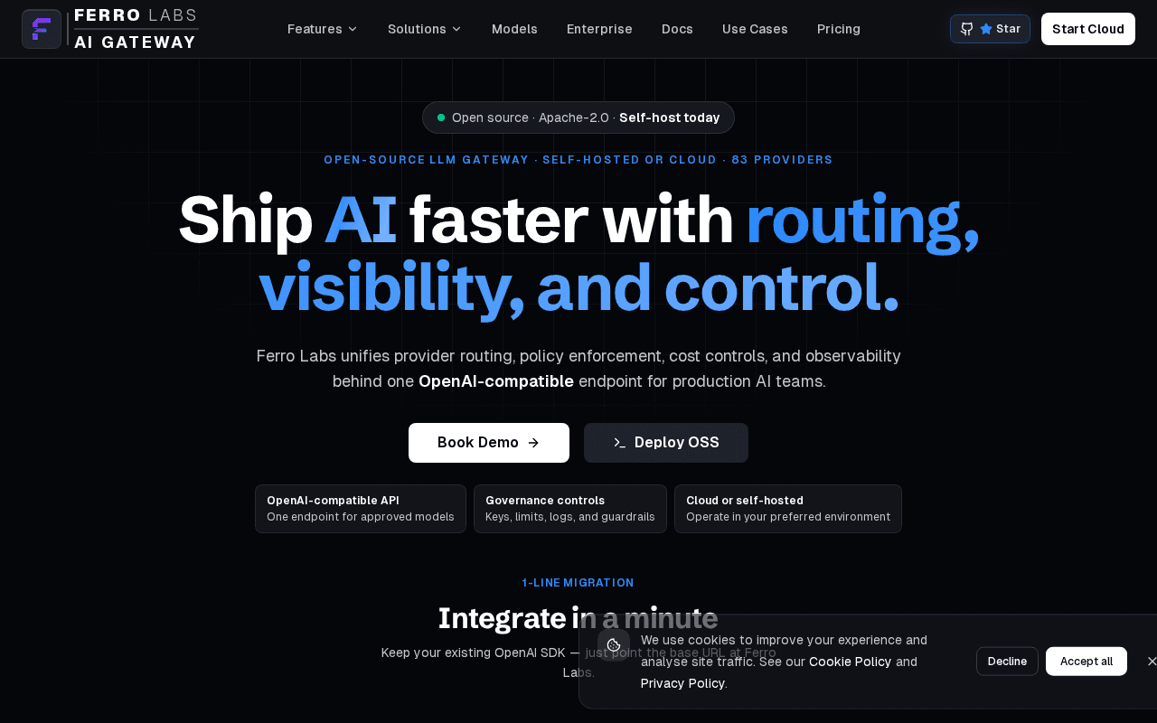 Screenshot of ferrolabs.ai