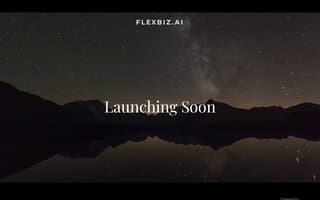 Screenshot of flexbiz.ai
