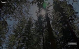 Screenshot of forest3.ai