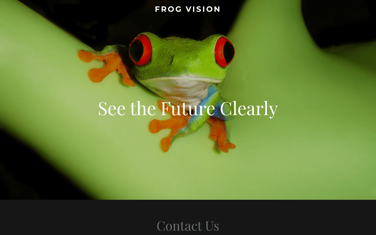 Screenshot of frogvision.ai