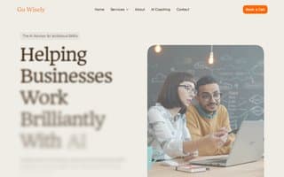 Screenshot of gowisely.ai