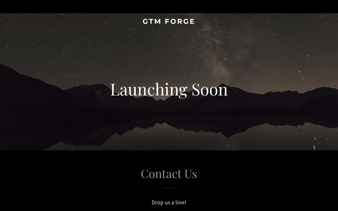 Screenshot of gtmforge.ai