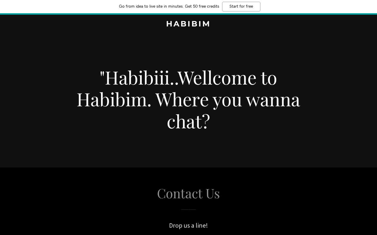 Screenshot of habibim.ai