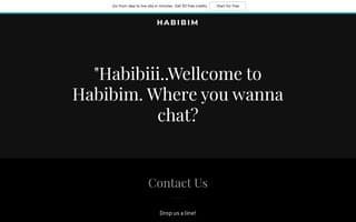 Thumbnail of habibim.ai
