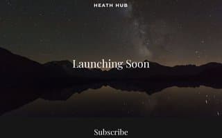 Thumbnail of heathhub.ai