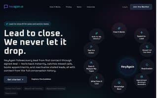 Thumbnail of heyagain.ai