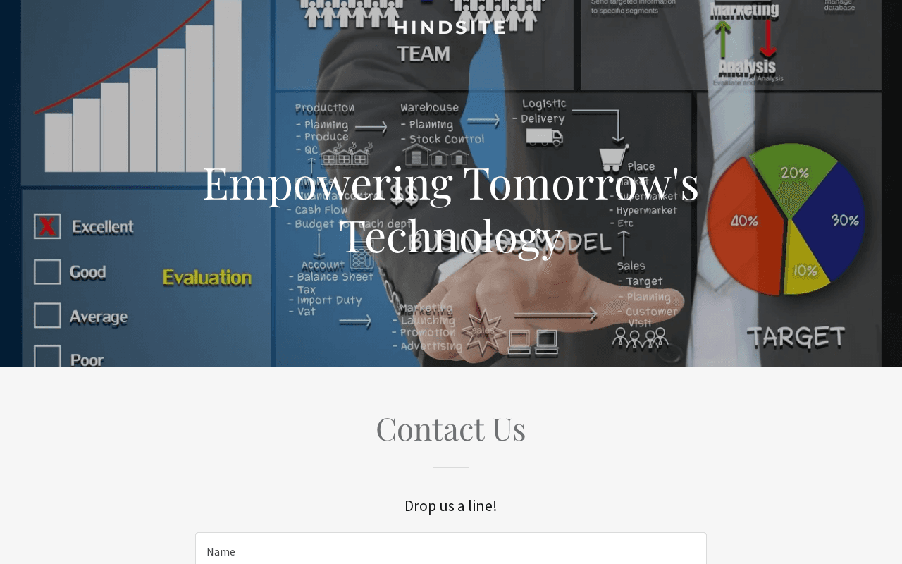 Screenshot of hindsite.ai