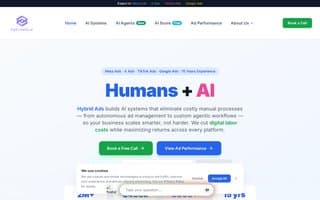 Screenshot of hybridads.ai