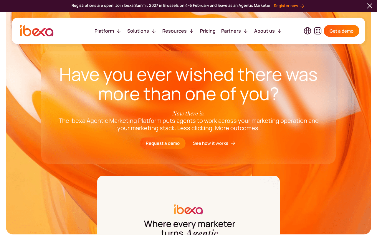 Screenshot of ibexa.ai