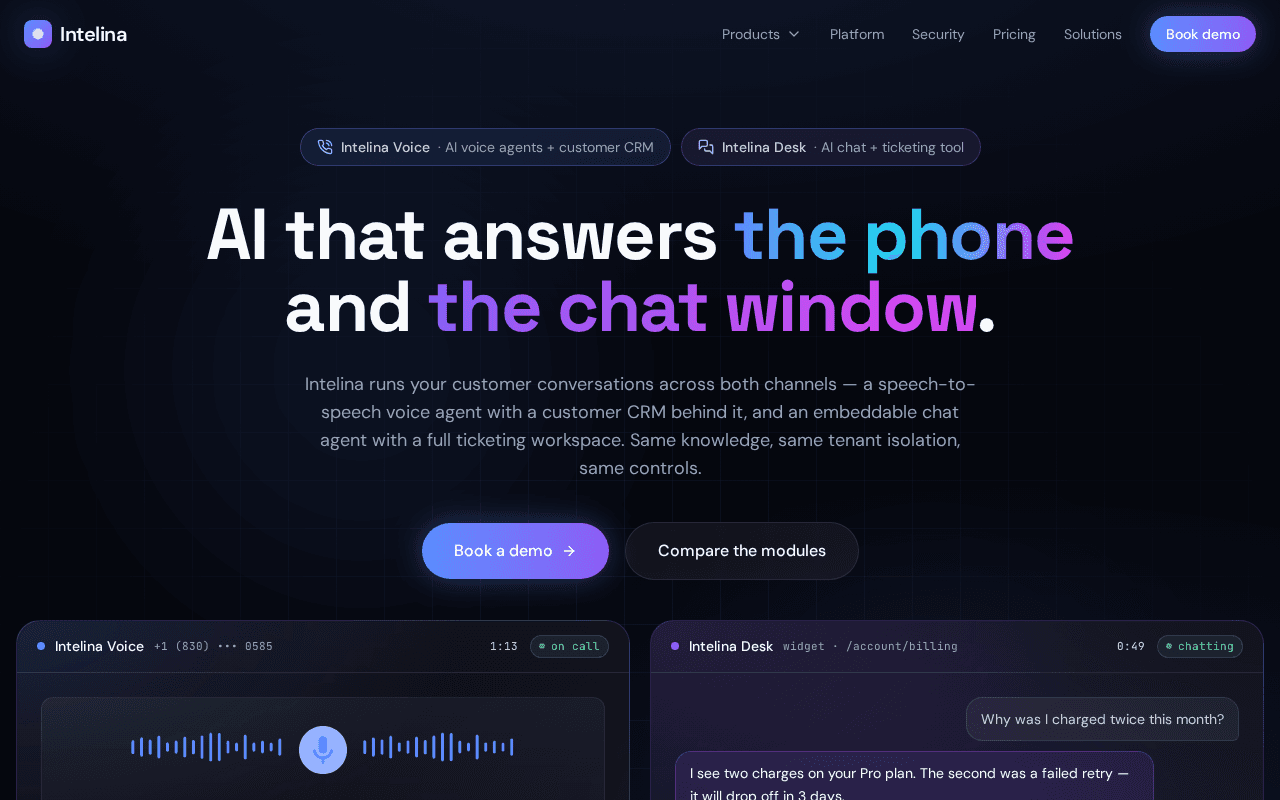 Screenshot of intelina.ai