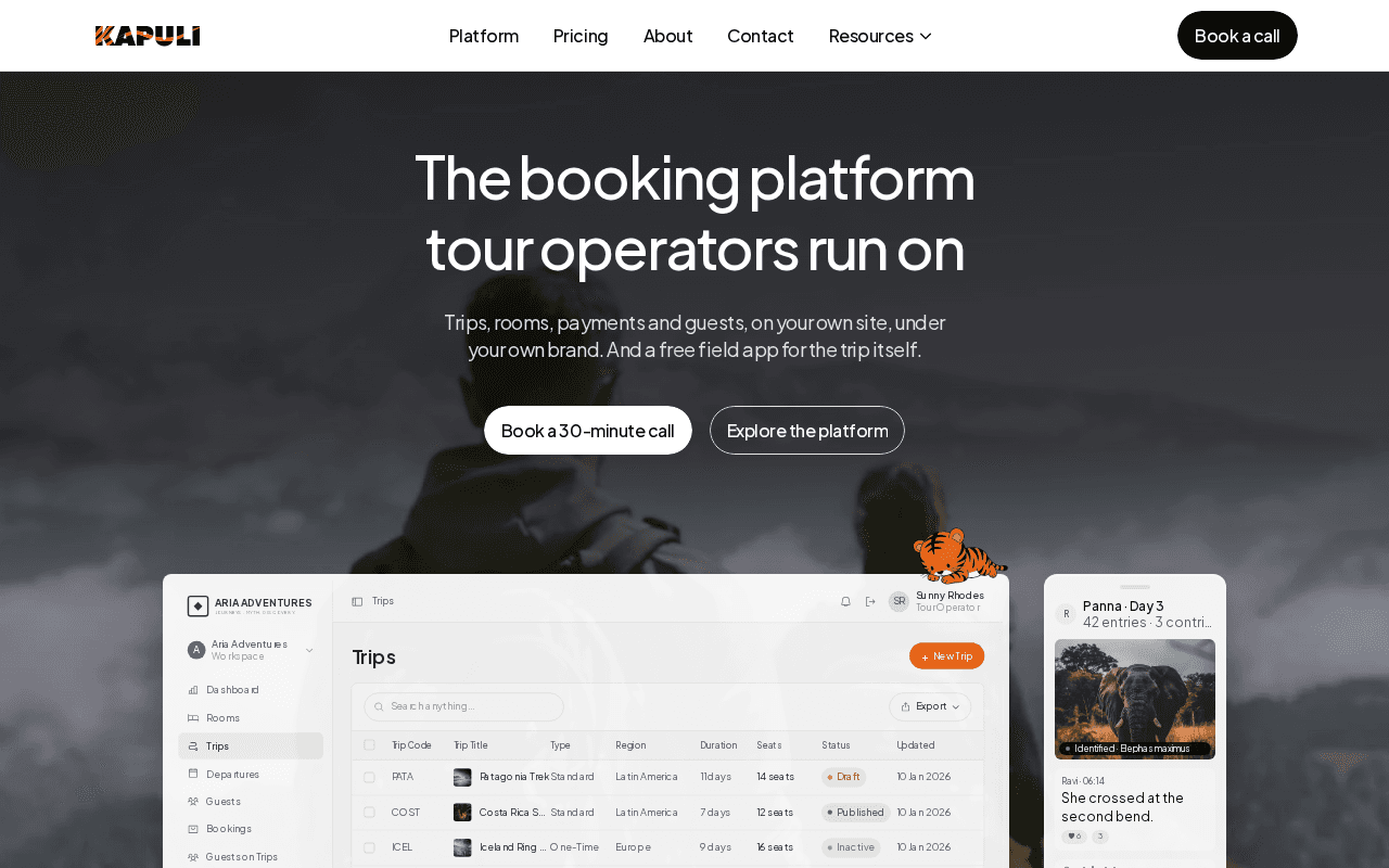 Screenshot of kapuli.ai